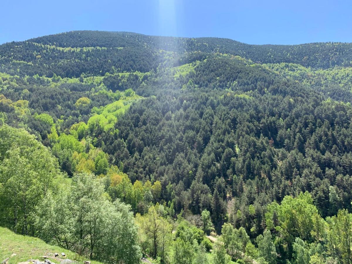 Apartament Siscaro - Peu Del Riu 310 - Vall D'Incles - Soldeu Zewnętrze zdjęcie